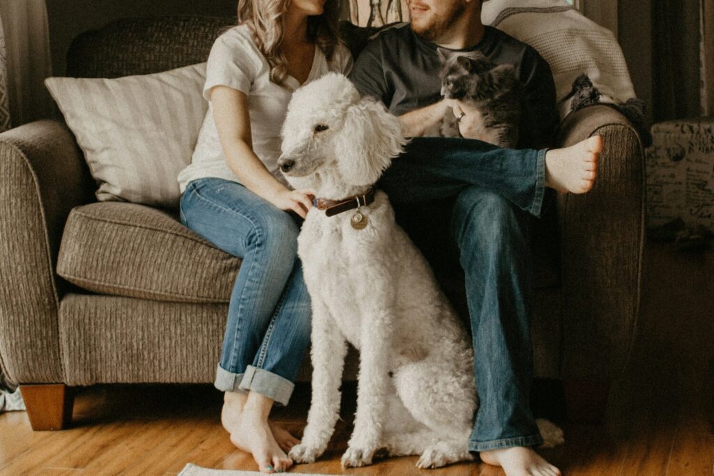 pets sitting with owners