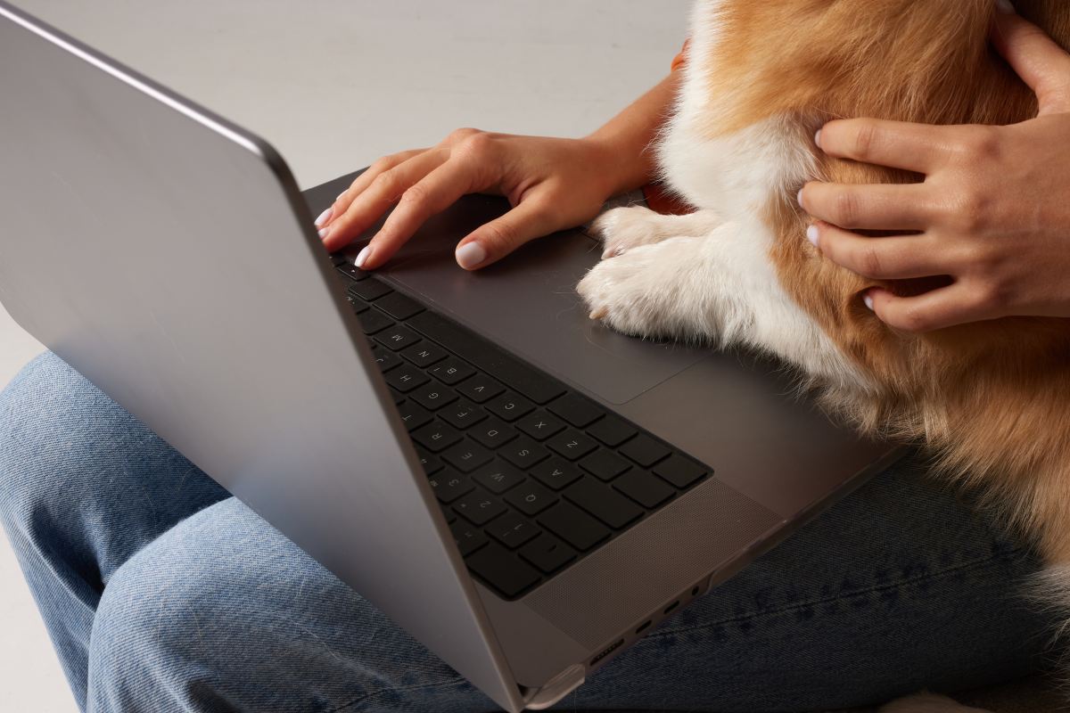 telehealth appointment with dog